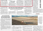 破局而出：中国县城民企如何从内卷困境中成功突围