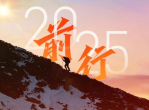 2025年：回首与展望：即将过去的里程碑时刻